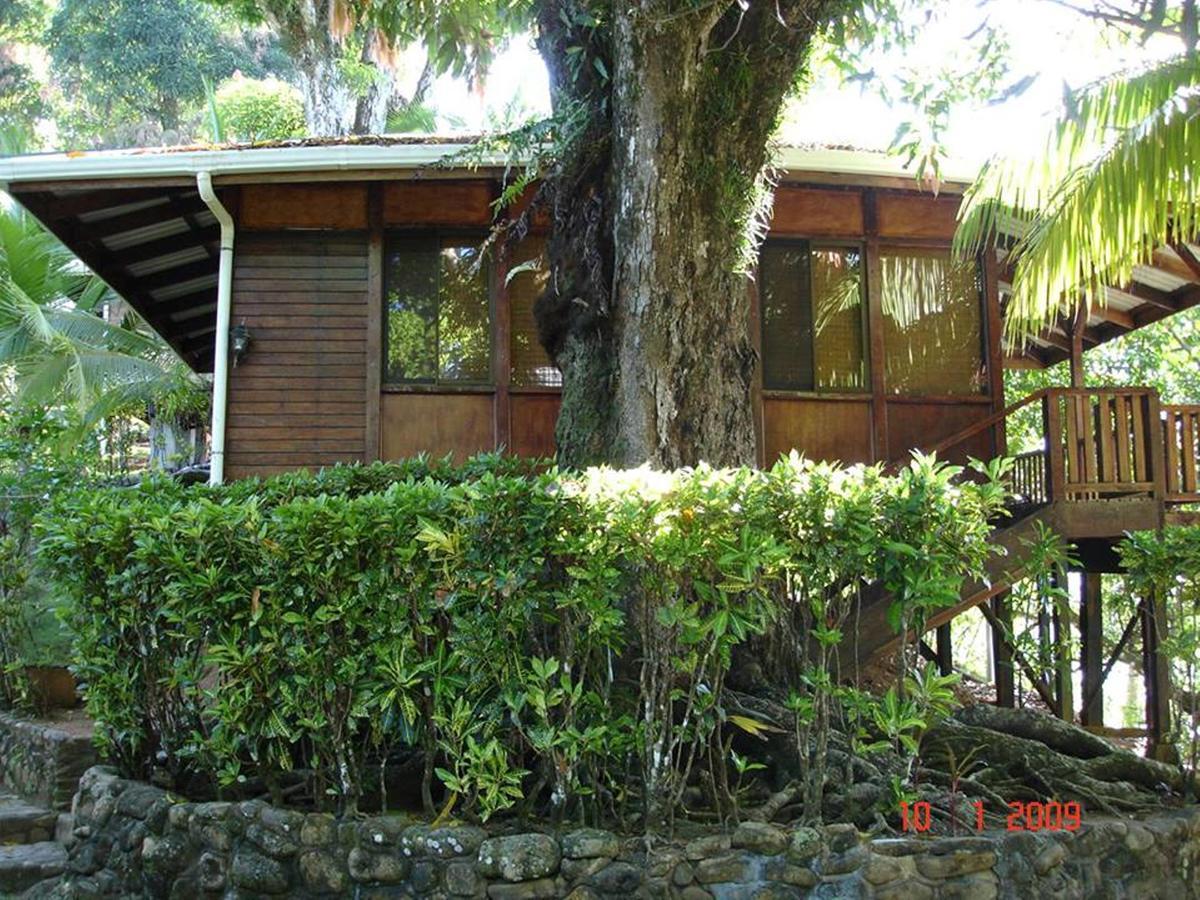 Cabinas La Parcela Villa Dominical Exterior photo