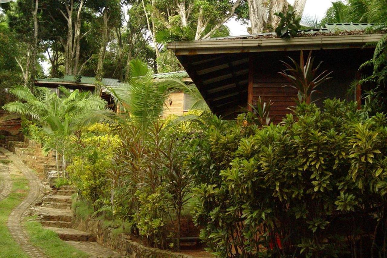 Cabinas La Parcela Villa Dominical Exterior photo